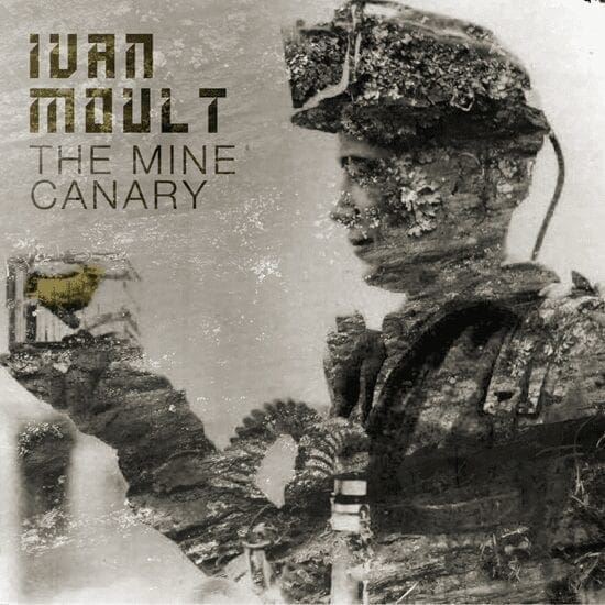 Ivan Moult - The Mine Canary